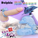 Dolphin 【特別提供保固6個月】